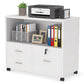 Tribesigns File Cabinet, 3 Drawer Lateral Filing Cabinet with Lock & Wheels